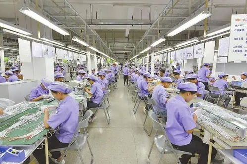 女工成长观察 从谋生到逐梦的网络技术研发之路